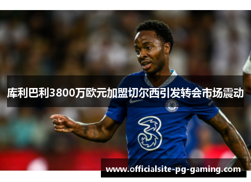 库利巴利3800万欧元加盟切尔西引发转会市场震动 库利巴利3800万欧元加盟切尔西引发转会市场震动