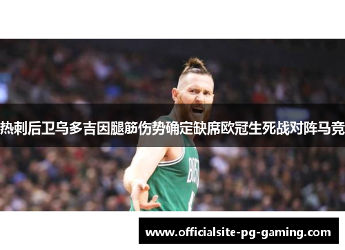热刺后卫乌多吉因腿筋伤势确定缺席欧冠生死战对阵马竞